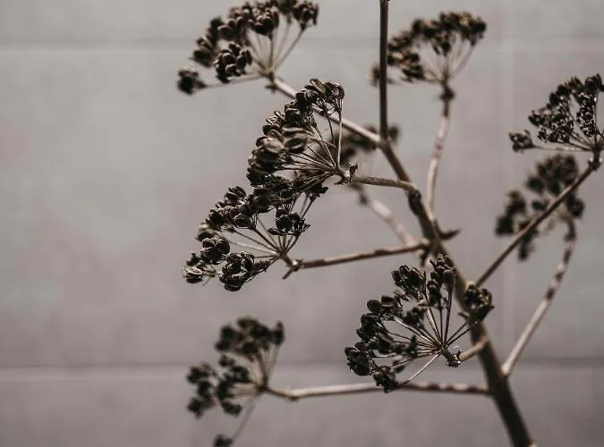 Dietrich - Saillerhof * ليبنيتز