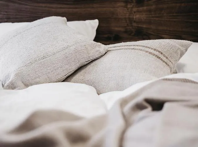 Dietrich - Saillerhof ليبنيتز