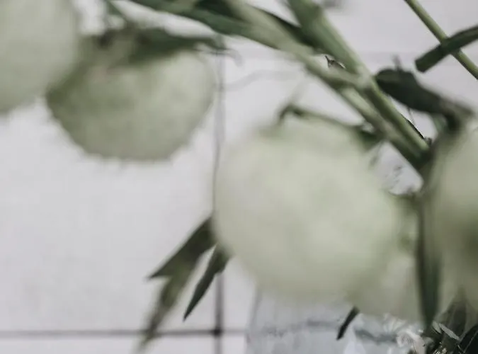 Appartement Dietrich - Saillerhof *